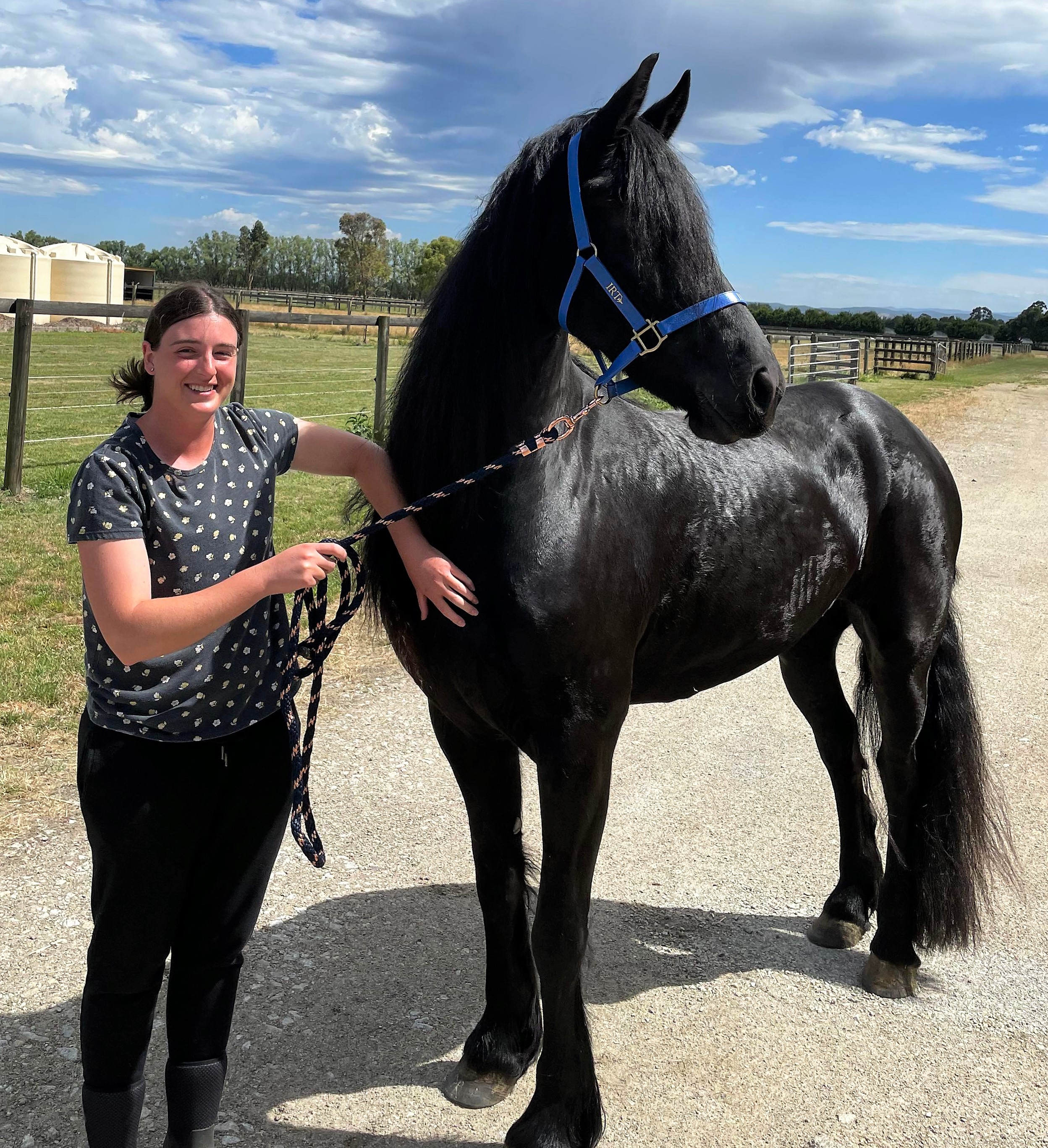 Friesian EMERALD STER - Sold